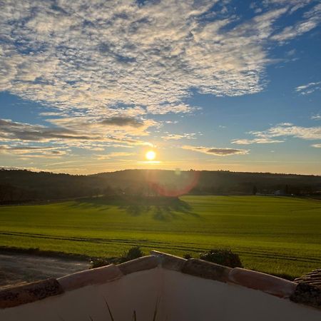 Vila Mas Des Magnarelles / Uzes / Cevennes Mejannes-les-Ales Exteriér fotografie